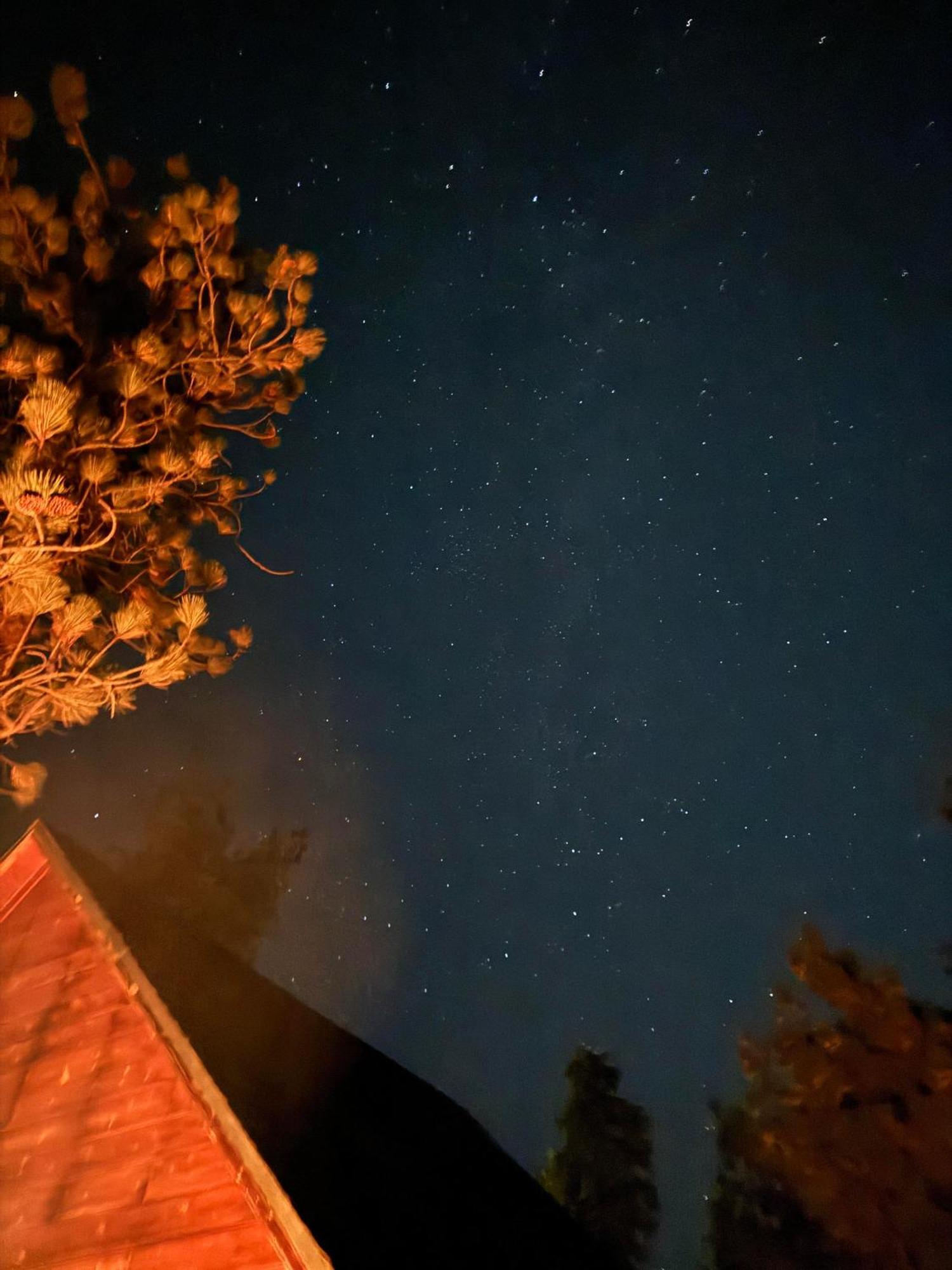 1 B1B Lake Cabin/Walk To Lake/Boulder Bay Park Big Bear Lake Exterior foto